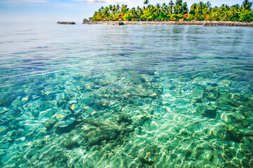 Fototapeta na wymiar Tropical island and sea with underwater marine life