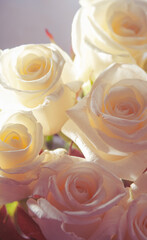 rings and rose petals