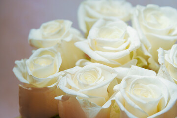 white roses in a vase