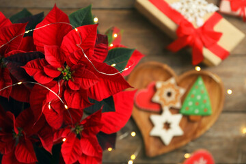 Naklejka premium Poinsettia (traditional Christmas flower) and holiday items on wooden table, top view. Space for text