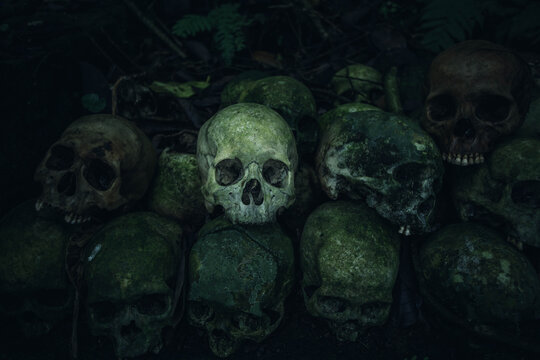 grupo de calaveras en el suelo de un cementerio en Indonesia