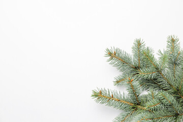 Obraz premium Christmas tree branches on white background