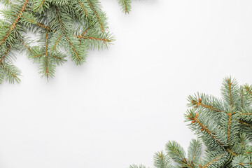 Christmas tree branches on white background