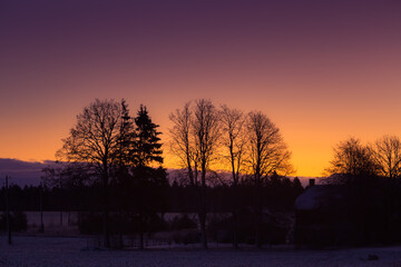 A beautiful sunrise sceney with bare tree silhouettes against the sunrise sky. Early winter landscape of Northern Europe. Bright, colorful scene. © dachux21