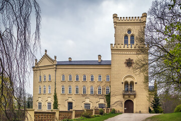 Fototapeta na wymiar Castle in Chyse, Czech republic