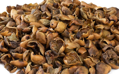 Indian Dry Gundha Also Know as Lisodha, Lasora, Lasoda, Lisoda or Dry Lesua