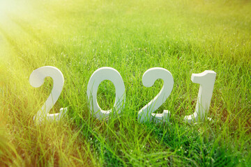 New year 2021 concept.word 2021 on the green lawns with the morning sun