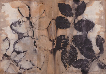 Rose leaves, ecodyed, ecoprinted, rustdyed botanical print