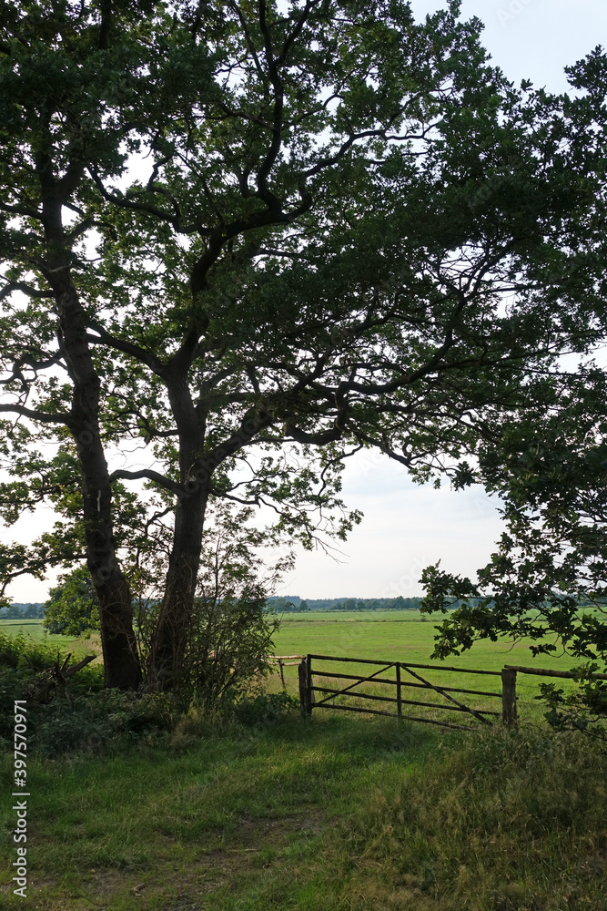 Canvas Prints Landschaft bei Bad Bederkesa