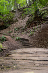 Bridge leading to stairs on a walking path in the Palatinate Forest of Germany at Elendsklamm.
