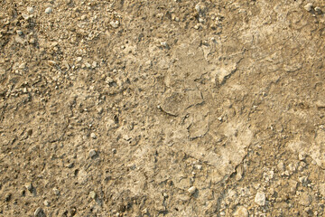 background is a stone texture. Beige old wall