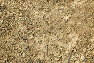 background is a stone texture. Beige old wall