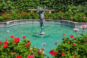 Fototapete bei efototapeten.de bestellen   