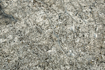 Gray texture of old stone. Close-up