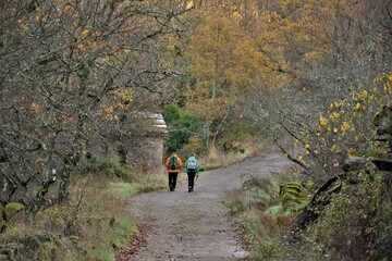 paseo otoñal