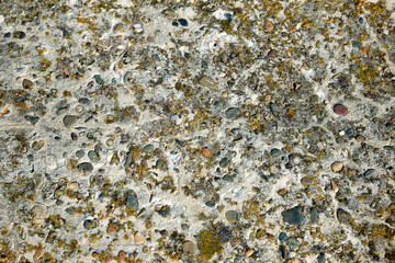 Gray stone covered with lichen and moss. Close-up