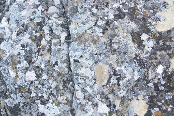 Cold stone with large cracks and scratches. Concept Design Background