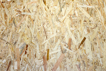 Background. Bright wood texture close-up
