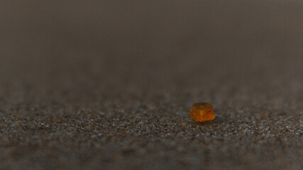 Amber on the beach of the Baltic Sea
