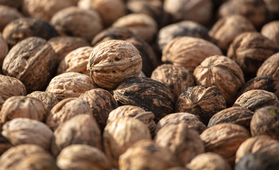 Close up of walnuts as background. Macro