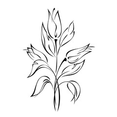 ornament 1416. bouquet of three flower buds on stems with leaves in black lines on a white background
