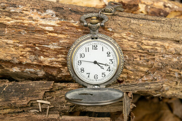 Open a vintage pocket watch lying on fallen logs.