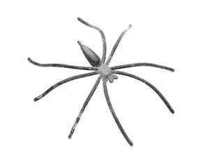 Spider toy isolated on a white background.