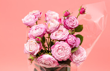 Rose flowers isolated on pink