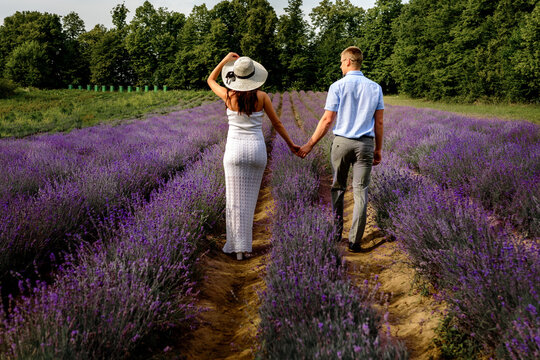 A Walk Of A Young Couple On A Lavender Field, A Cozy, Quiet And Fragrant Place For Beauty Lovers.