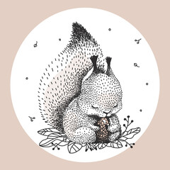 Squirrel. Vector graphic illustration. Linear hand drawing