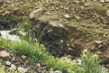 Backpacking in the mountains in the Caucasus Arkhyz in Russia