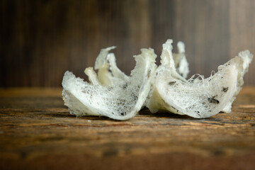 Swallow's nest on the wood floor close up front view