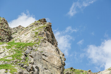 beautiful species in the reserve