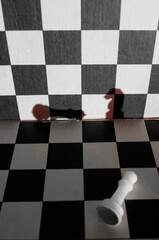 Chess knignt shadow checkmates white king