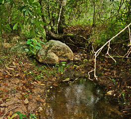 Pequena cachoeira com muitas pedras e arvores em volta. Situada em fazenda na região de Esmeraldas.