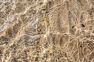 Am Ostseestrand auf Fehmarn, Staberhuk