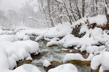 Cold winter stream with snow in the mountains, the Western Caucasus