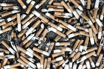 Cigarette butts background. Lot of burnt cigarette butts with some ash
