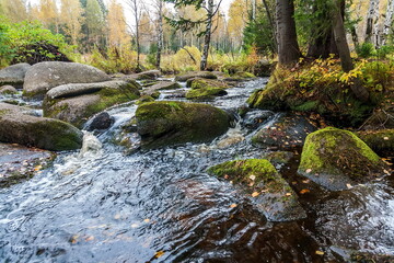Rocky river in autumn forest