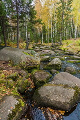 Naklejka premium Forest river in autumn