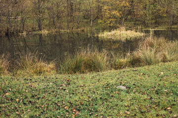 Obraz na płótnie Canvas Old pond in the mountains in the fall