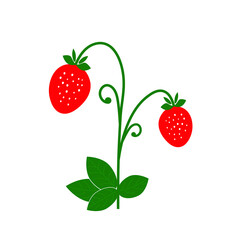 Two red strawberries on white background flat illustration