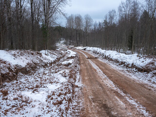 Dirt road in the middle of the forest in early winter