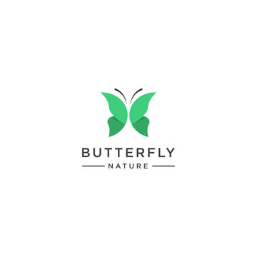 Green butterfly logo template - vector