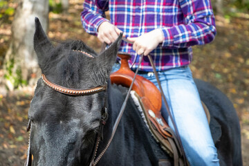 person with horse