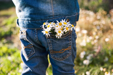Child with daisies in his pocket.