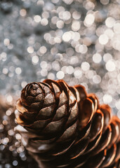 closeup of a dry brown pine cone on a silvery shiny background. pinecone on a background of shiny winter rime. decorations for christmas tree