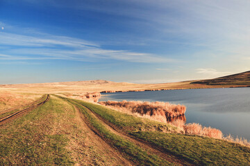 Yellow reeds in the autumn at a salt lake in southern Russia