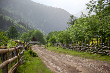 rural road in the mountains in the Western Caucasus