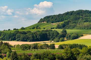 Fototapeta na wymiar Blick auf die Weinberge und Wald in Erlenbach in Baden-Württemberg